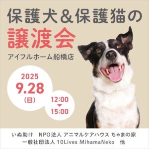 合同譲渡会