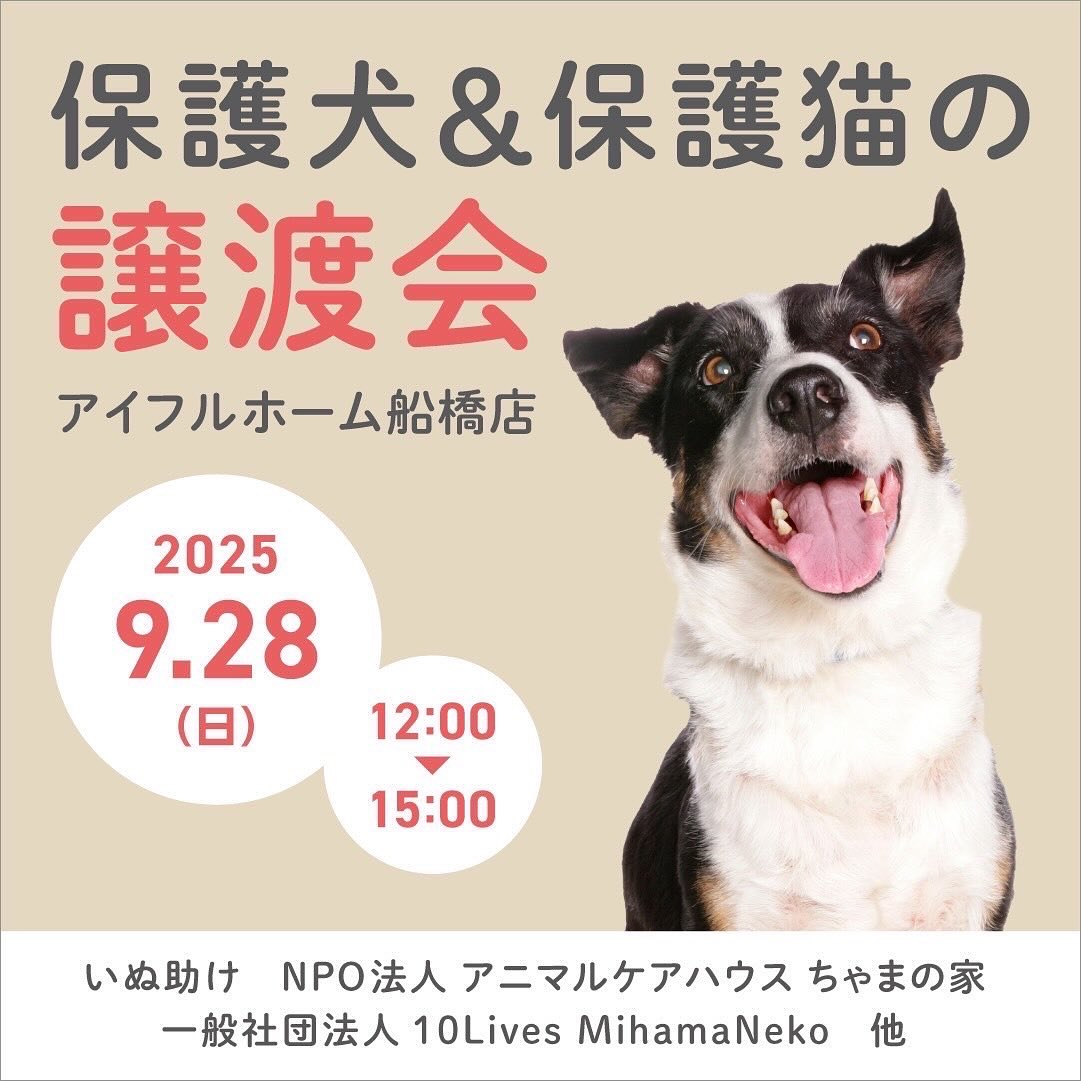 合同譲渡会