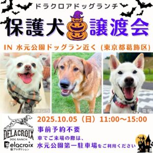 10/5譲渡会