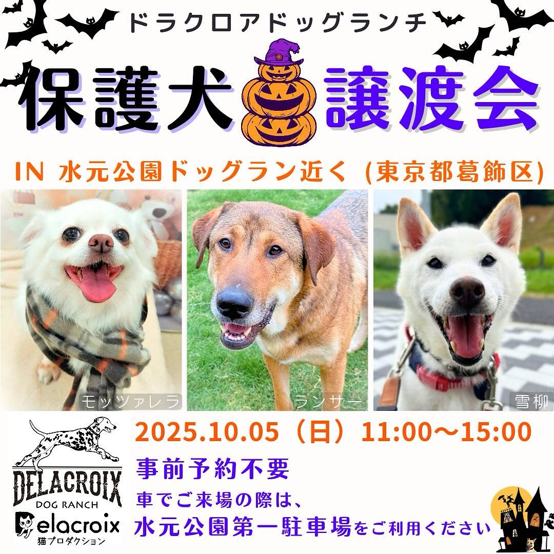 10/5譲渡会
