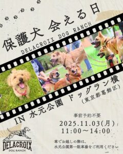 保護犬　会える日