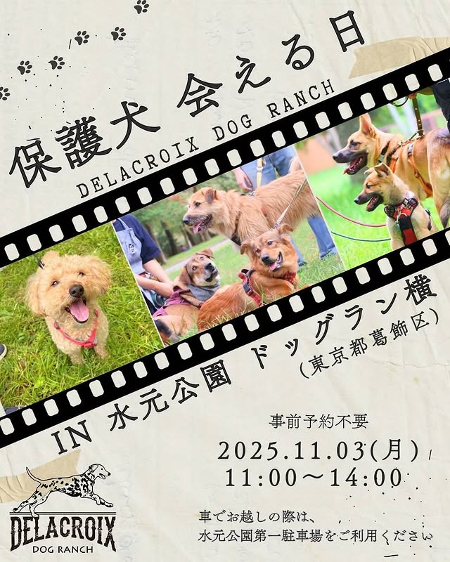 保護犬 会える日