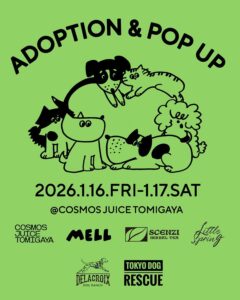 ADOPTION & POP UP