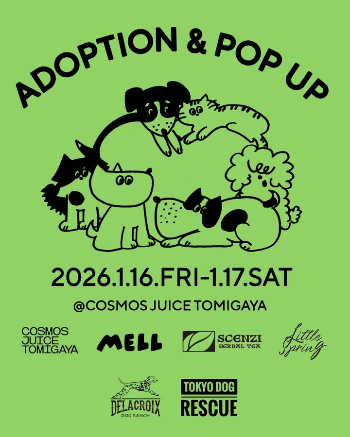 ADOPTION & POP UP